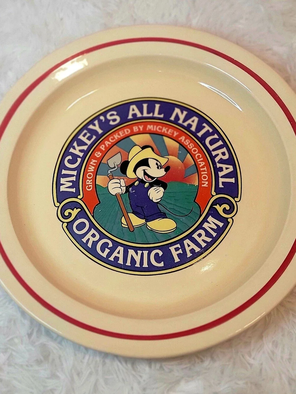 Disney's Mickey Organic Farm Ceramic Serving Plate - 13.5